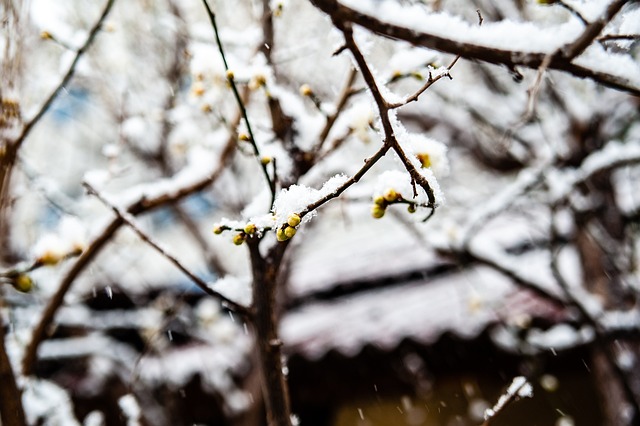 与抉择