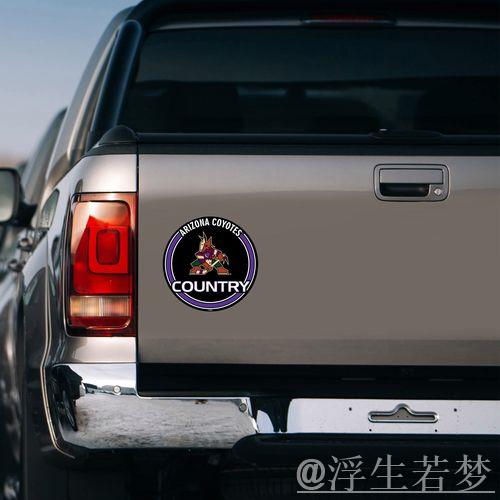 卡罗莱纳飓风队进入东部半决赛 卡罗莱纳飓风队进入东部半决赛